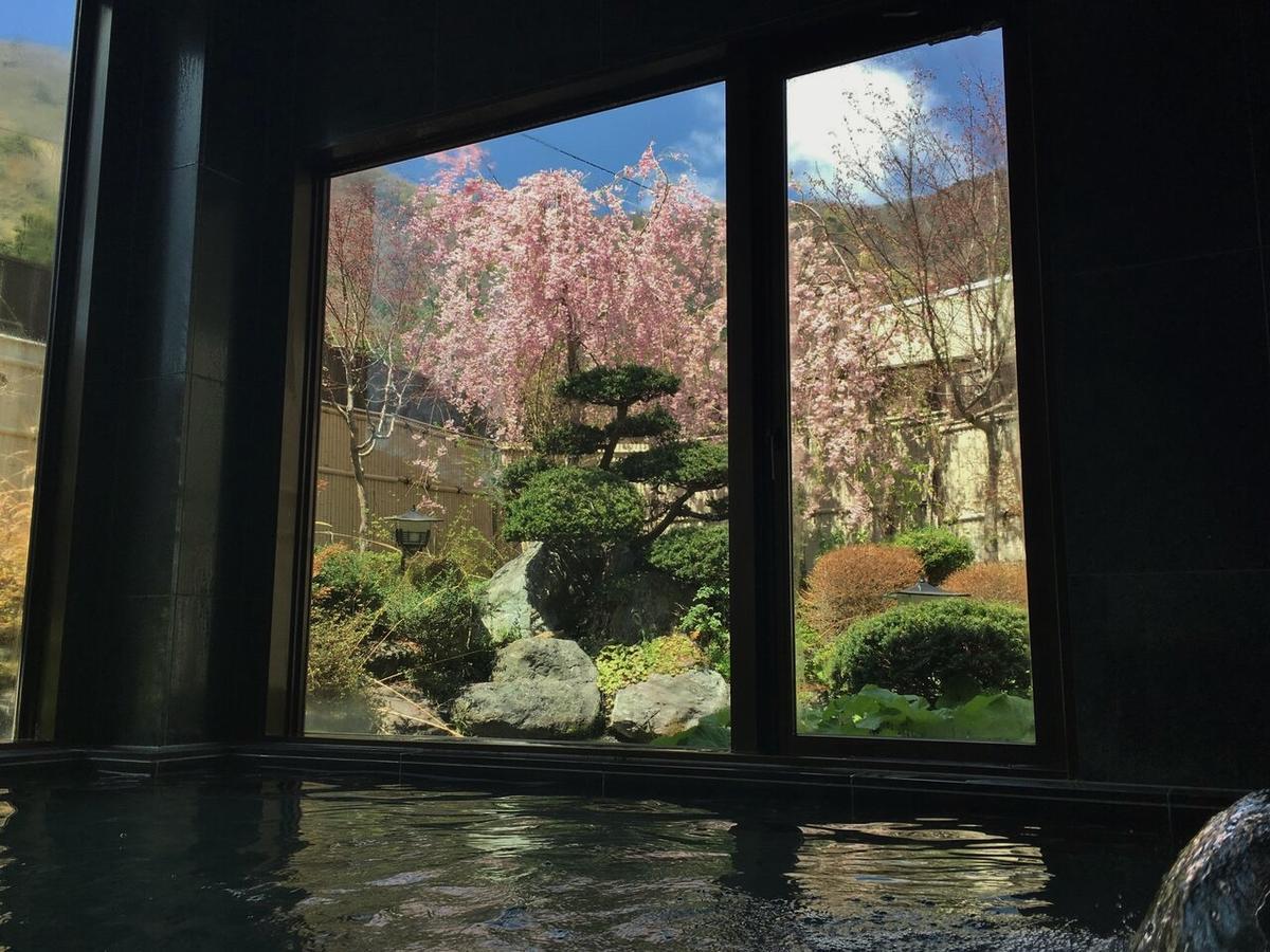 Shoji Mount Hotel Fujikawaguchiko Luaran gambar